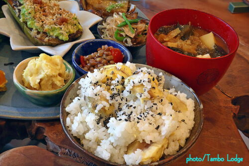 鹿沼の自然食レストラン「Matsu 松」～日光の「自然茶寮 廻meguri」へのハシゴ