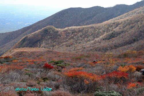 紅葉の最後の「茶臼岳」に上る