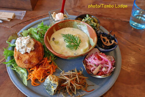 鹿沼の自然食レストラン「Matsu 松」で晩秋のランチをいただく