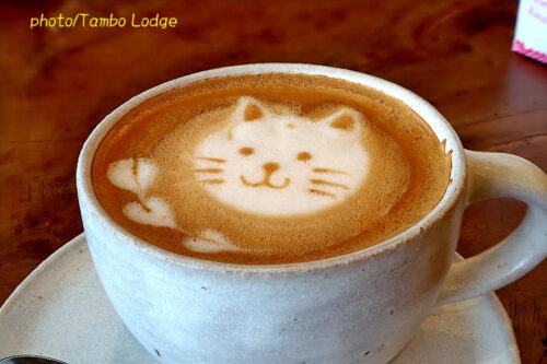 鹿沼の自然食レストラン「Matsu 松」で晩秋のランチをいただく