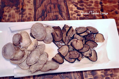 「森の扉」主催、チューニョの料理教室