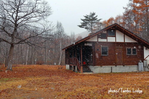 ２０２５年の初雪（Primera nieve 2025）