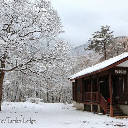 ２０２５年の初雪（Primera nieve 2025）