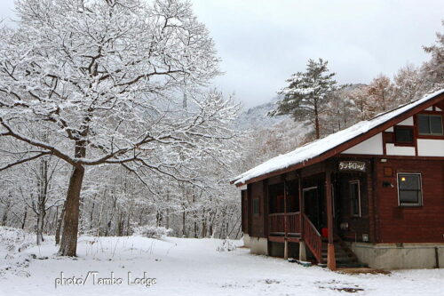２０２５年の初雪（Primera nieve 2025）