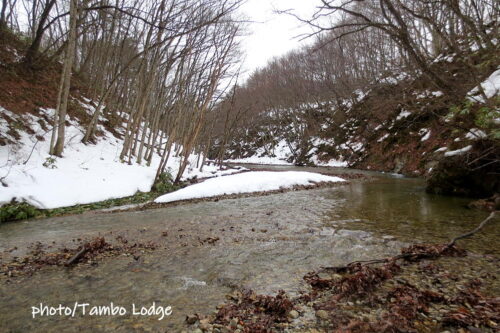 大雪の前に急いでチューニョ（凍み芋）作り