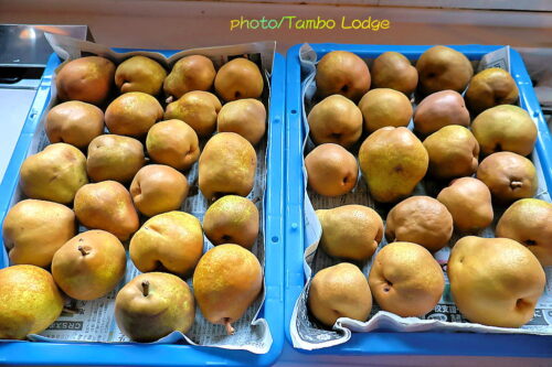 ２０２５年ドライ洋梨と洋梨のジャム作り