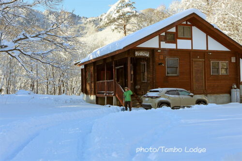 いきなり豪雪、根雪になりそうです