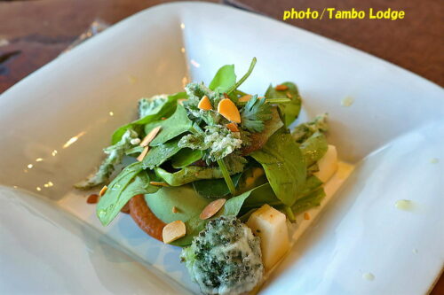 鹿沼の自然食レストラン「Matsu 松」の２０２５年冬至スペシャルランチ