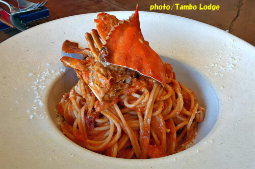 鹿沼の自然食レストラン「Matsu 松」の２０２５年冬至スペシャルランチ