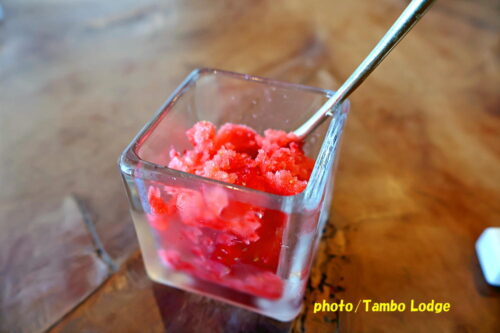 鹿沼の自然食レストラン「Matsu 松」の２０２５年冬至スペシャルランチ