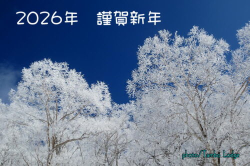 ２０２６年　謹賀新年