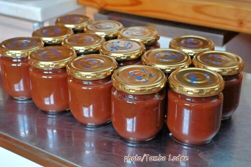 ２０２６年山栗とチョコレートのジャム作り