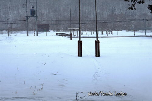 ２０２６年初詣