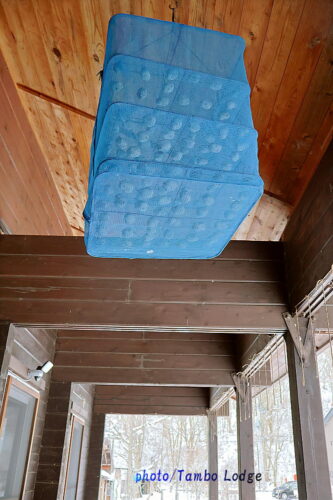 川水に晒した白チューニョを引き上げました