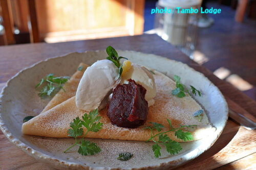 ２０２６年日光へ初詣＆自然茶寮 廻meguriでお茶タイム