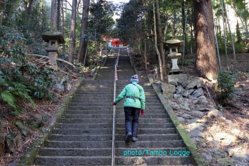 ２０２６年初歩きは「太平山神社」⇒鹿沼の自然食レストラン「Matsu 松」へ