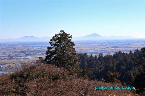 ２０２６年初歩きは「太平山神社」⇒鹿沼の自然食レストラン「Matsu 松」へ