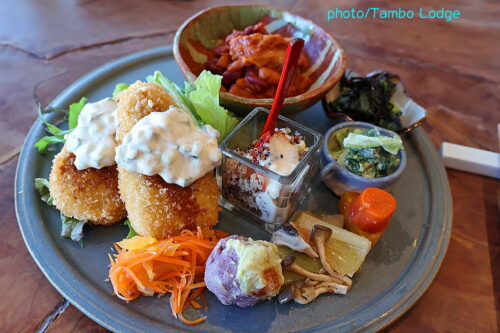 ２０２６年初歩きは「太平山神社」⇒鹿沼の自然食レストラン「Matsu 松」へ