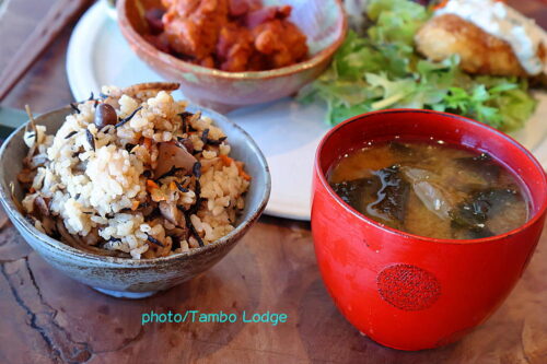 ２０２６年初歩きは「太平山神社」⇒鹿沼の自然食レストラン「Matsu 松」へ