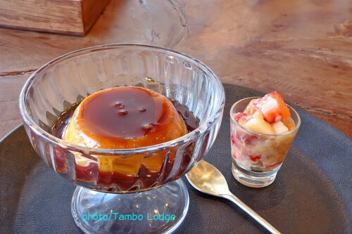 ２０２６年初歩きは「太平山神社」⇒鹿沼の自然食レストラン「Matsu 松」へ