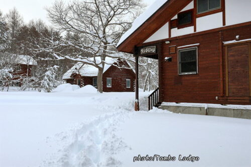 ついにドカ雪が降る
