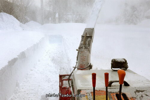 ついにドカ雪が降る