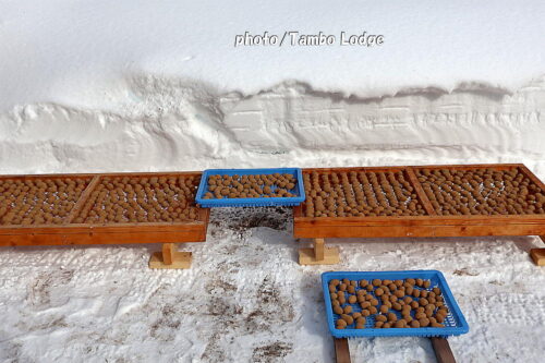 １回目の白チューニョの完成と、２回目を作りはじめました