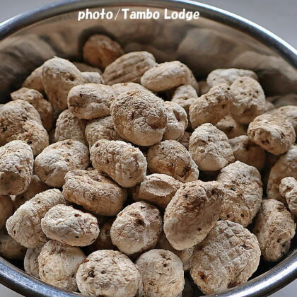 １回目の白チューニョの完成と、２回目を作りはじめました