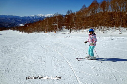２０２６年初スキーは２年ぶり