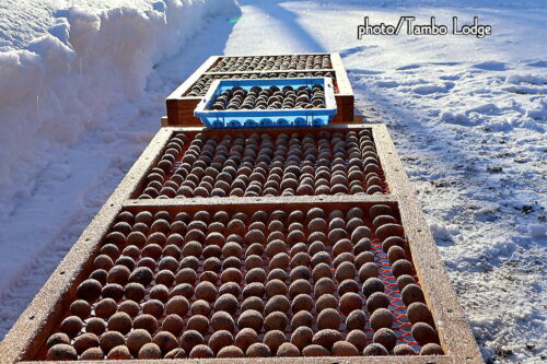 ２回目のチューニョ作り、いよいよ水晒しに入ります