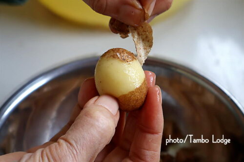 ２回目のチューニョ作り、いよいよ水晒しに入ります