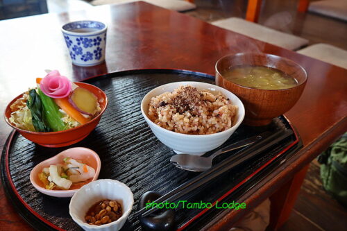 今年初、須賀川の「銀河のほとり」でランチをいただく