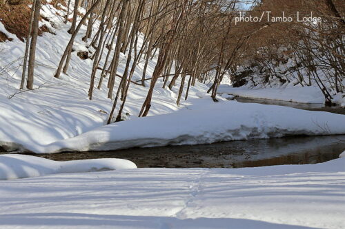 今年２回目の「白チューニョ」作り、水晒しが終わりました