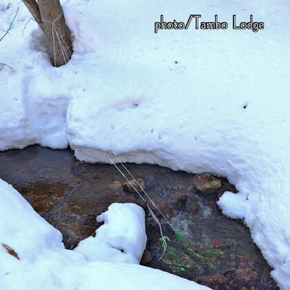 今年２回目の「白チューニョ」作り、水晒しが終わりました