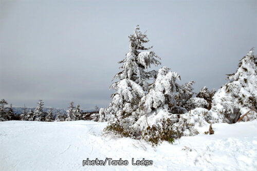 今シーズン８回目のスキーはシーズン最終回