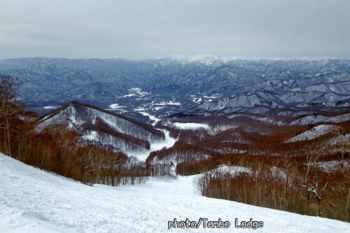 今シーズン８回目のスキーはシーズン最終回