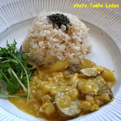 ヴィーガン仕様のペルー料理「Ajiaco de olluco」を作りました