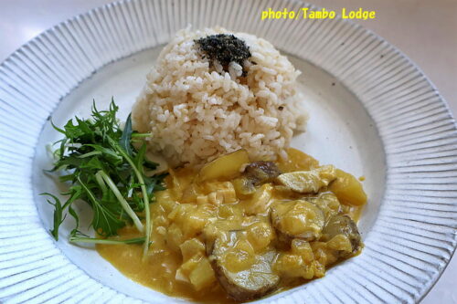 ヴィーガン仕様のペルー料理「Ajiaco de olluco」を作りました