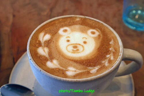 鹿沼の自然食レストラン「Matsu 松」で早春のランチをいただく