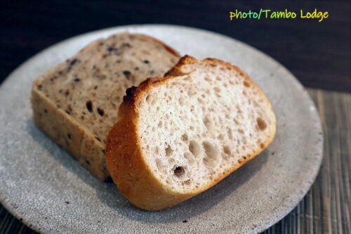 鎌倉へ遠足、Vegetus ヴェジトゥスでヴィーガンのランチをいただく