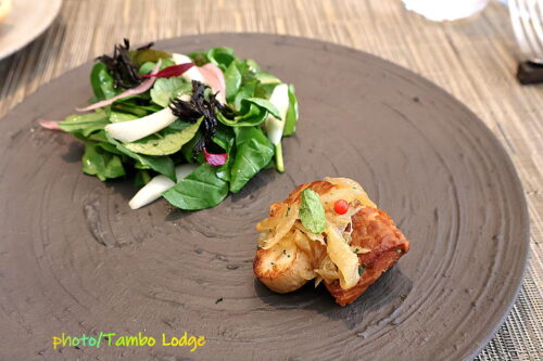 鎌倉へ遠足、Vegetus ヴェジトゥスでヴィーガンのランチをいただく