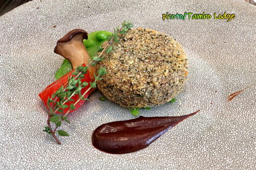 鎌倉へ遠足、Vegetus ヴェジトゥスでヴィーガンのランチをいただく