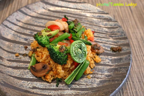 鎌倉へ遠足、Vegetus ヴェジトゥスでヴィーガンのランチをいただく