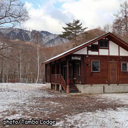 季節外れの雪⛄