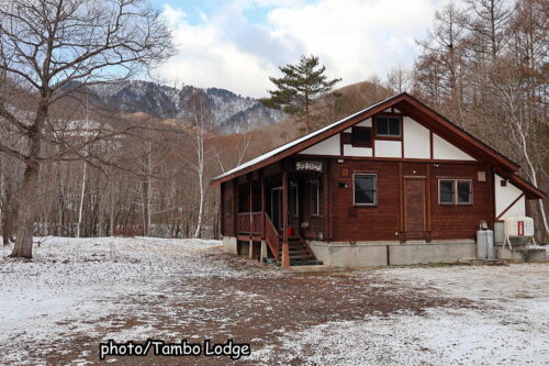 季節外れの雪⛄