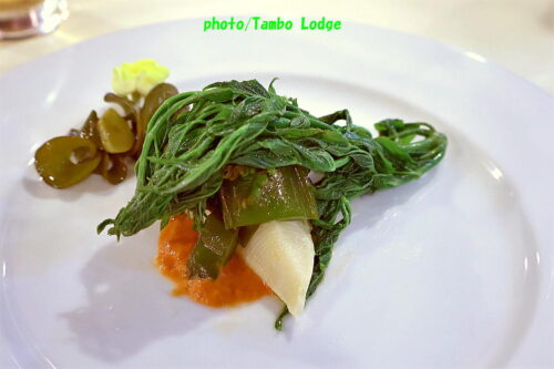 ヴィーガンレストラン「クオーレ・デルソル」の開業１０周年記念スペシャルディナー