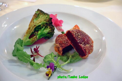 ヴィーガンレストラン「クオーレ・デルソル」の開業１０周年記念スペシャルディナー