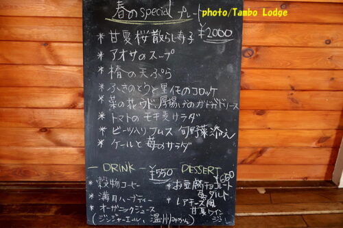 おいしい薬膳「白牡丹」で椿の花の天婦羅のランチ