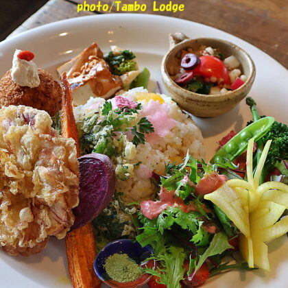 おいしい薬膳「白牡丹」で椿の花の天婦羅のランチ