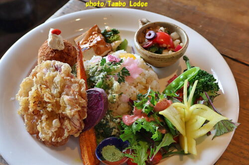 おいしい薬膳「白牡丹」で椿の花の天婦羅のランチ